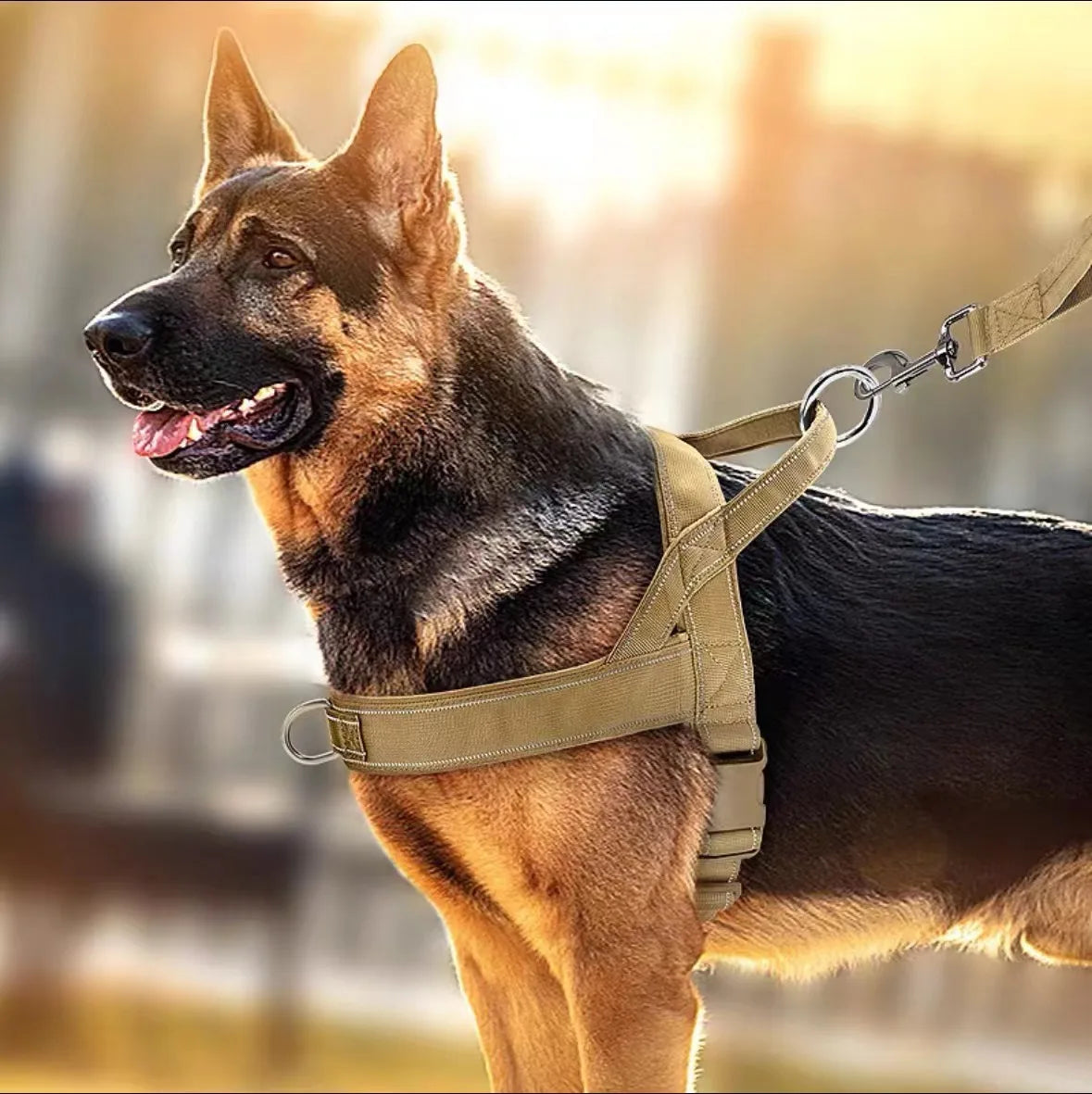Elite No Pull Nylon Dog Harness Large Breed by PawHaven