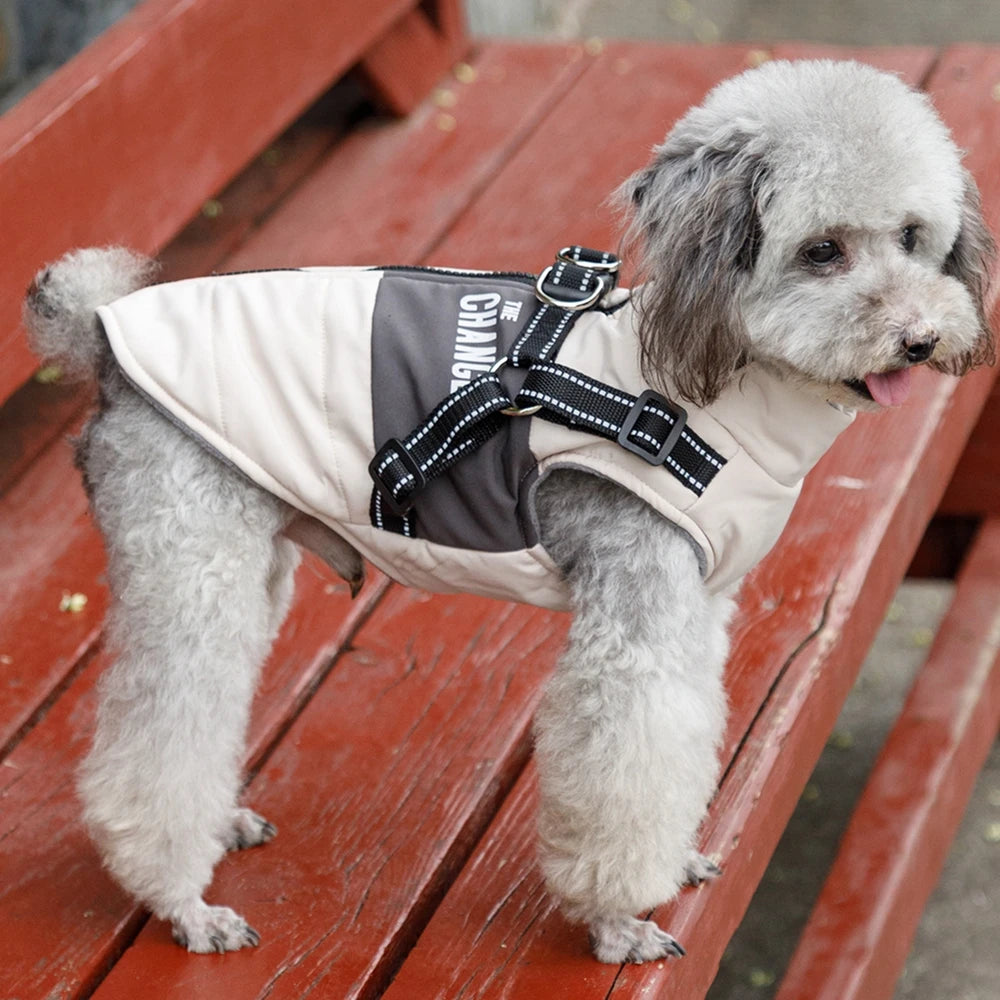 Premium Warm Windproof Dog Jacket With Dual D Rings by PawHaven