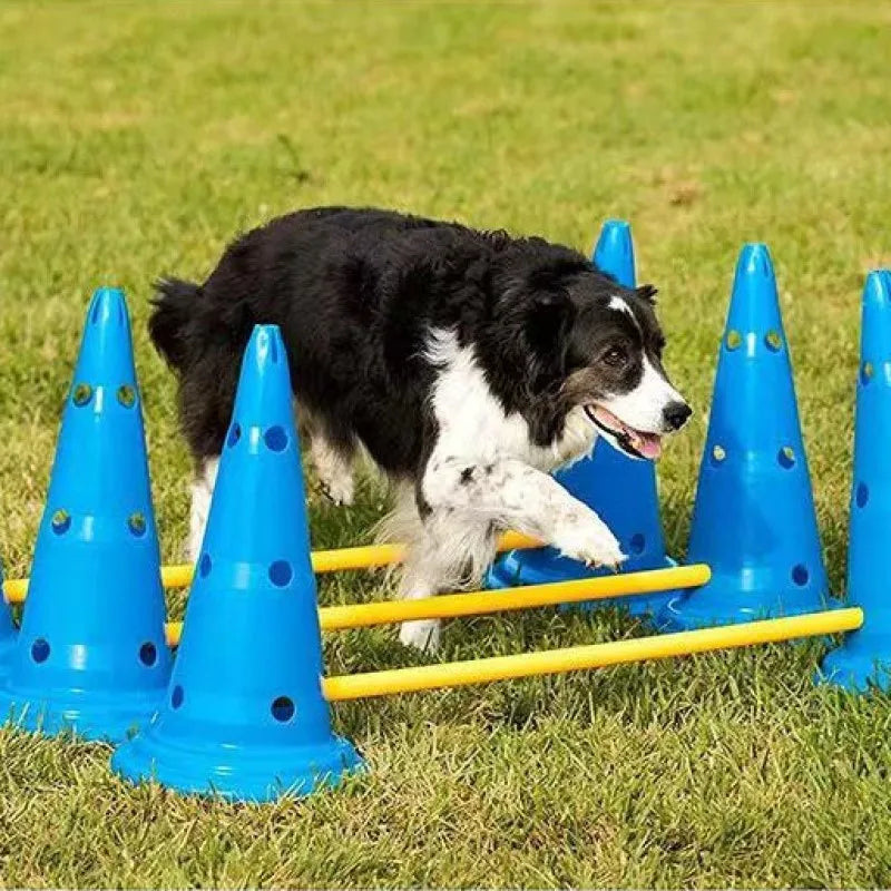 Pet Agility Training Set Jumping Bar Dog Obstacle Training Equipment Hurdle Training Dog Training Device Pet Supplies by PawHaven