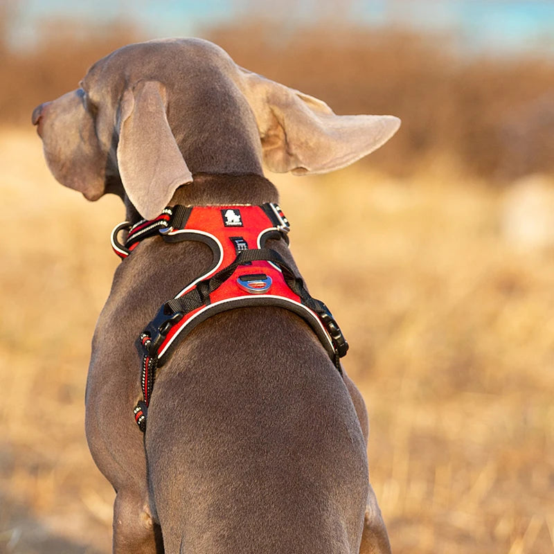 Premium Reflective Dog Vest Harness With Nylon Padding by PawHaven