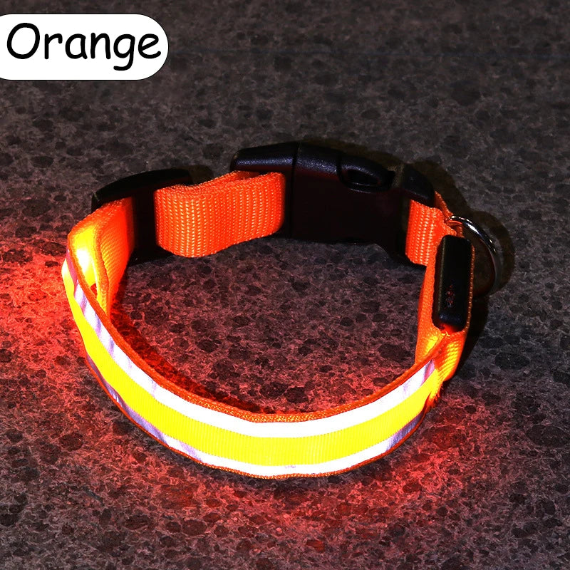 Premium Nylon Night Safety Glow Dog Collar by PawHaven