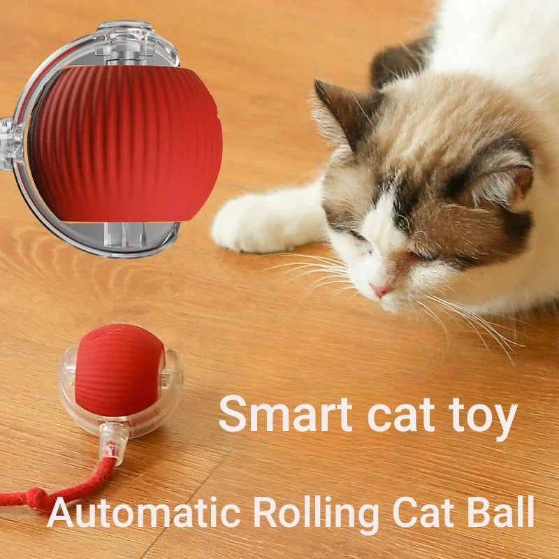New Cat Interactive Ball Toy,Automatic Rolling Cat Ball Rechargeable,Smart Kitten Interactive Toy,Intelligent Balls Toy for Cat by PawHaven