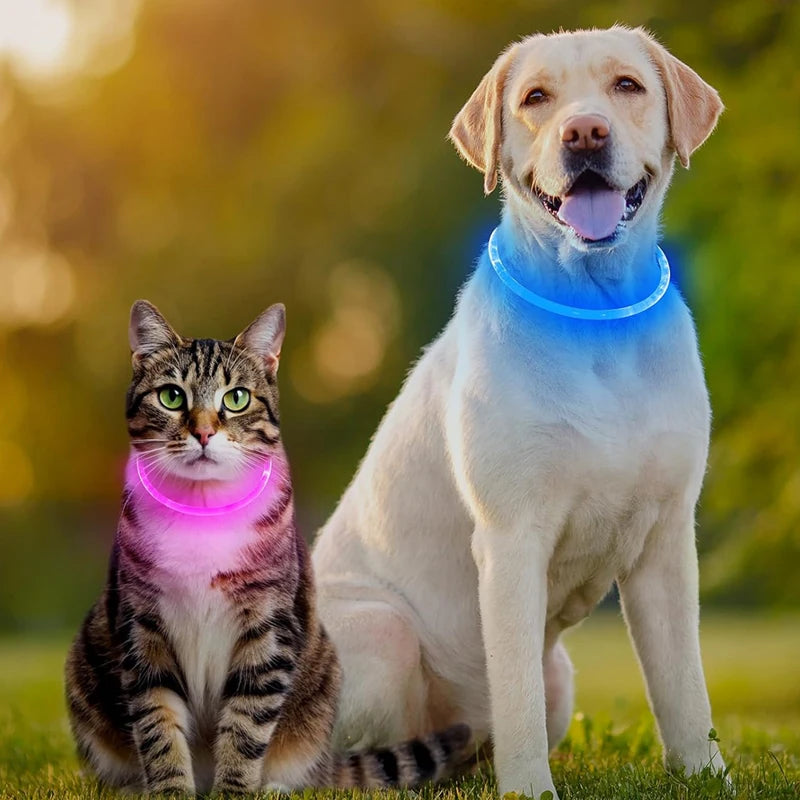 AuroraLux LED Night Collar For Dogs And Cats With 3 Modes by PawHaven