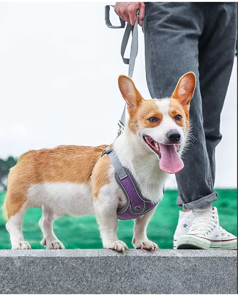 Premium Reflective Harness Vest For Small To Medium Dogs by PawHaven