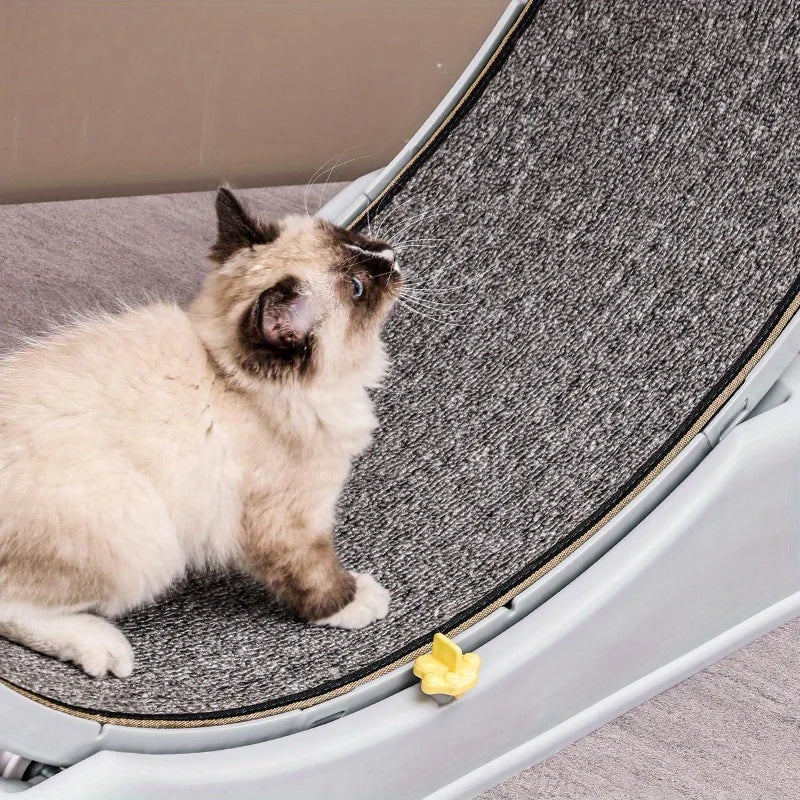 Cat Running Exercise Wheel Treadmill, Ultra-Quiet Safety Cat Training Toy with and Locking Mechanism,Removable Carpeted Runway by PawHaven