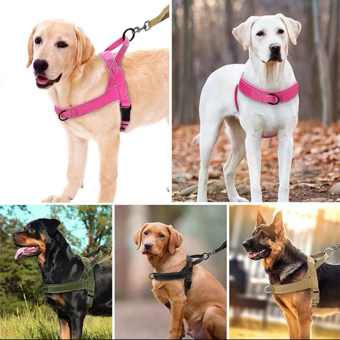 Elite No Pull Nylon Dog Harness Large Breed by PawHaven