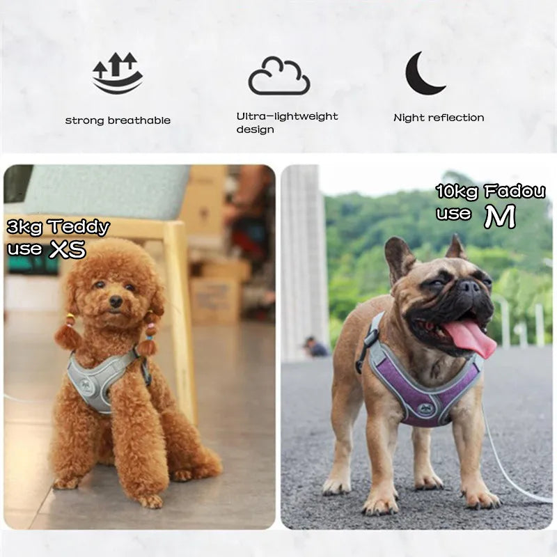 Premium Reflective Harness Vest For Small To Medium Dogs by PawHaven
