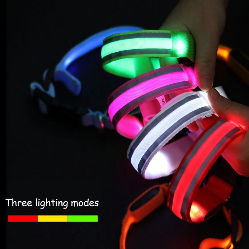 Premium Nylon Night Safety Glow Dog Collar by PawHaven
