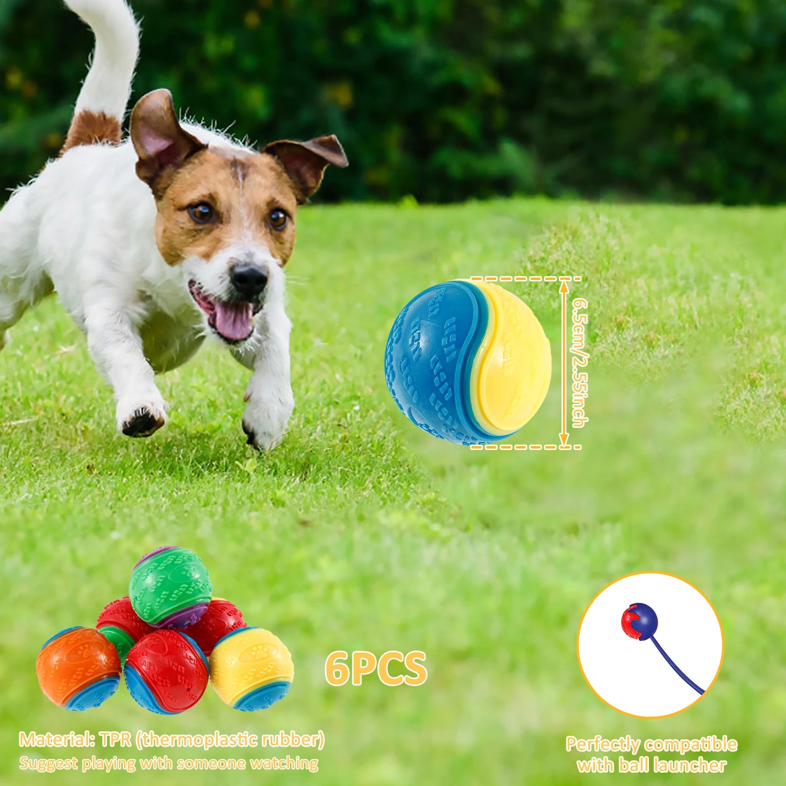 6Pcs Dog Squeaky Balls Toys Interactive Soft TPR Dogs Chew Toy for Pet Teeth Cleaning Bite Resistance Pet dogs accessories by PawHaven