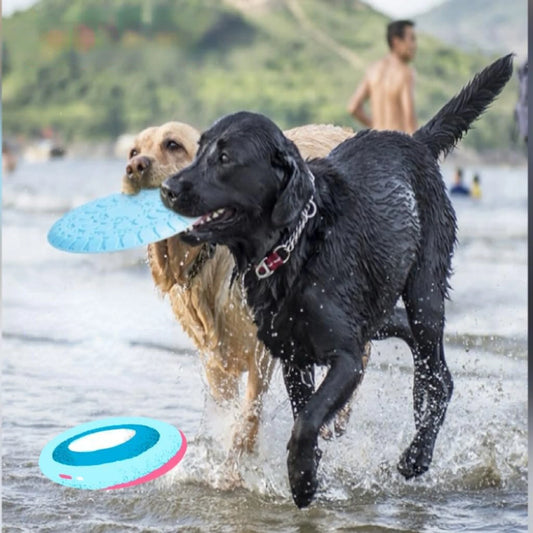 Durable, Lightweight and Aerodynamic Floatable Dog Flying Disc - Interactive Pet Training Toy for Active Dogs by PawHaven