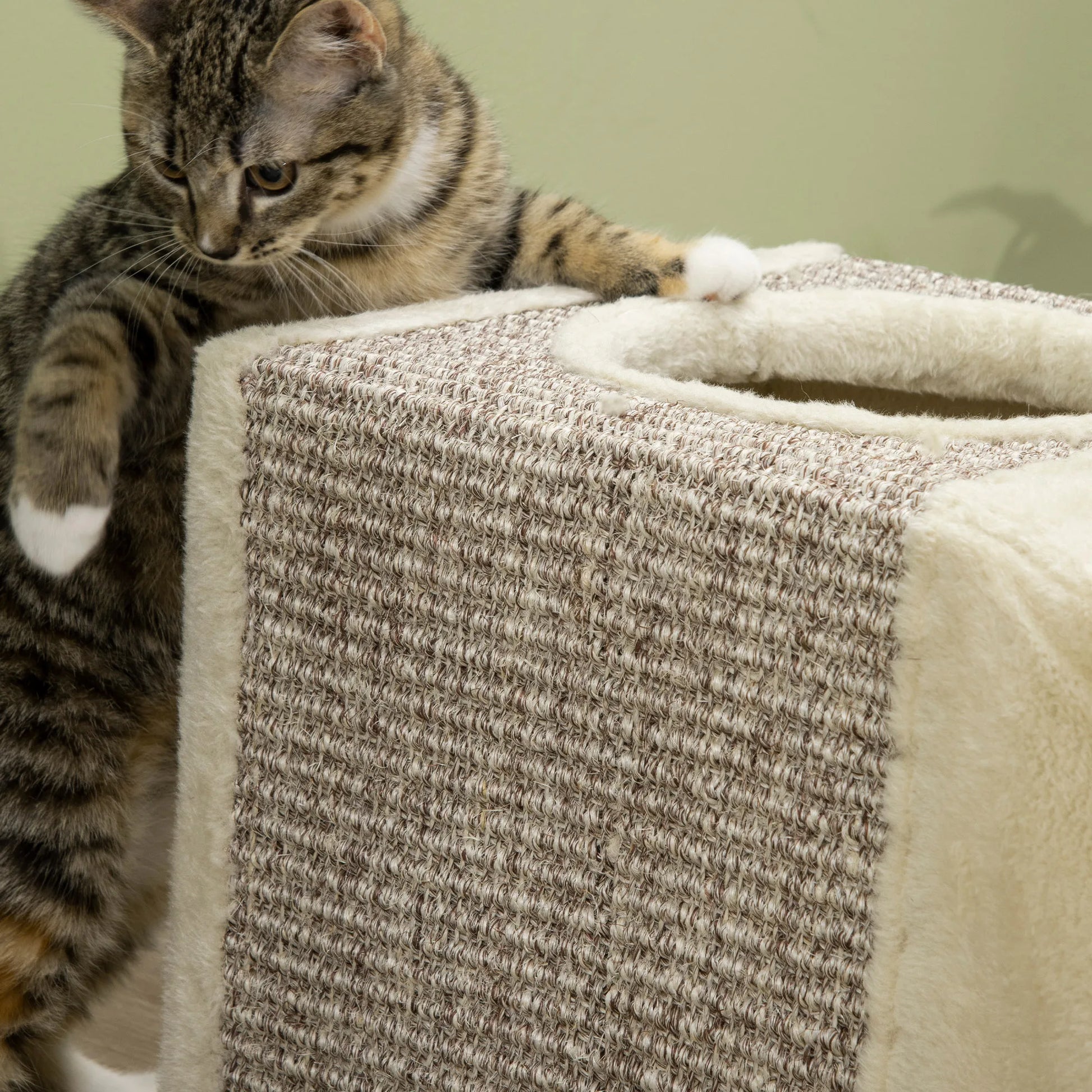 PawHut Premium Cat Tunnel For Indoor Play by PawHaven