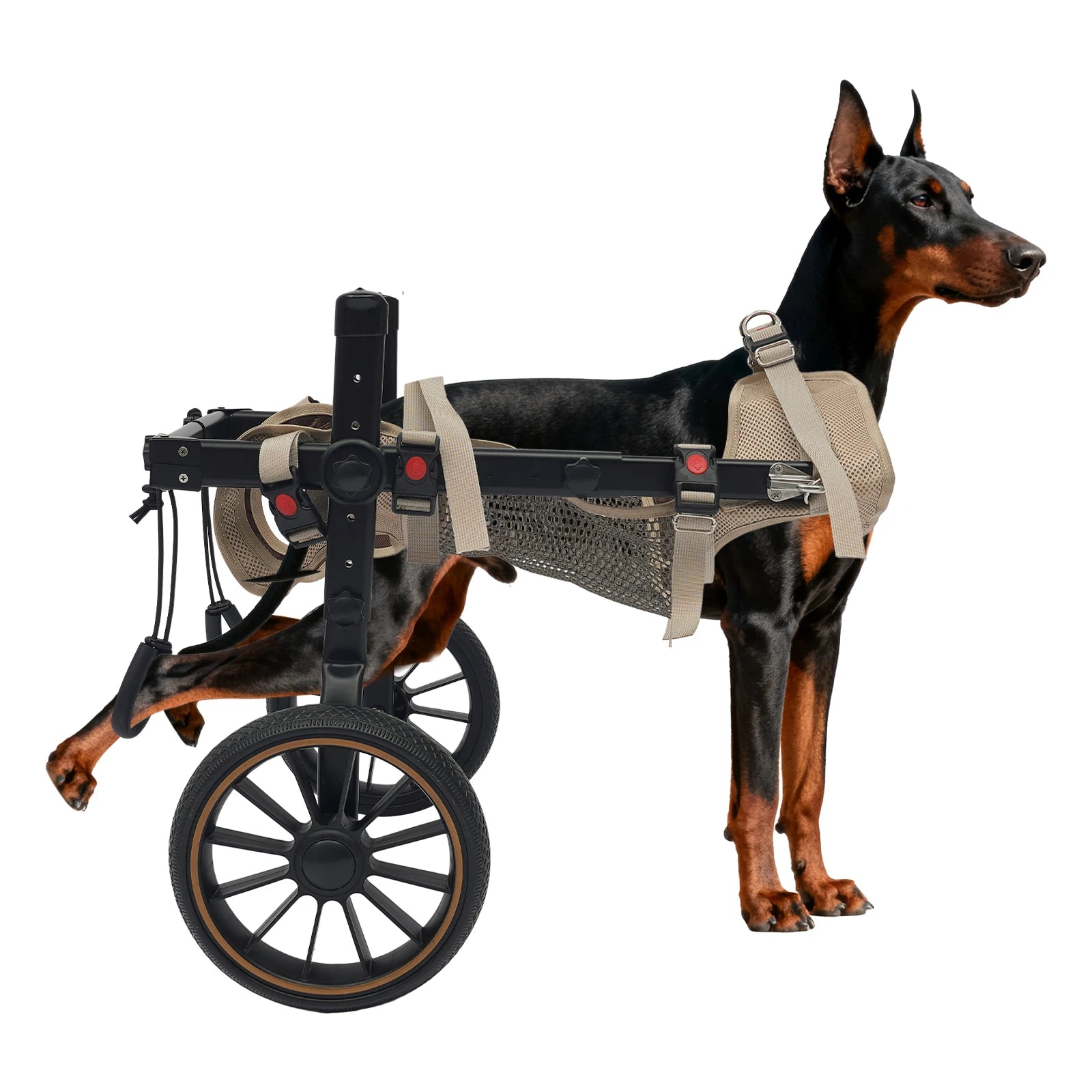 Adjustable Dog Wheelchair Hind Leg Rehabilitation Walker, Aluminum Alloy Pet Walking Aid Cart for Disabled & Senior Dogs by PawHaven