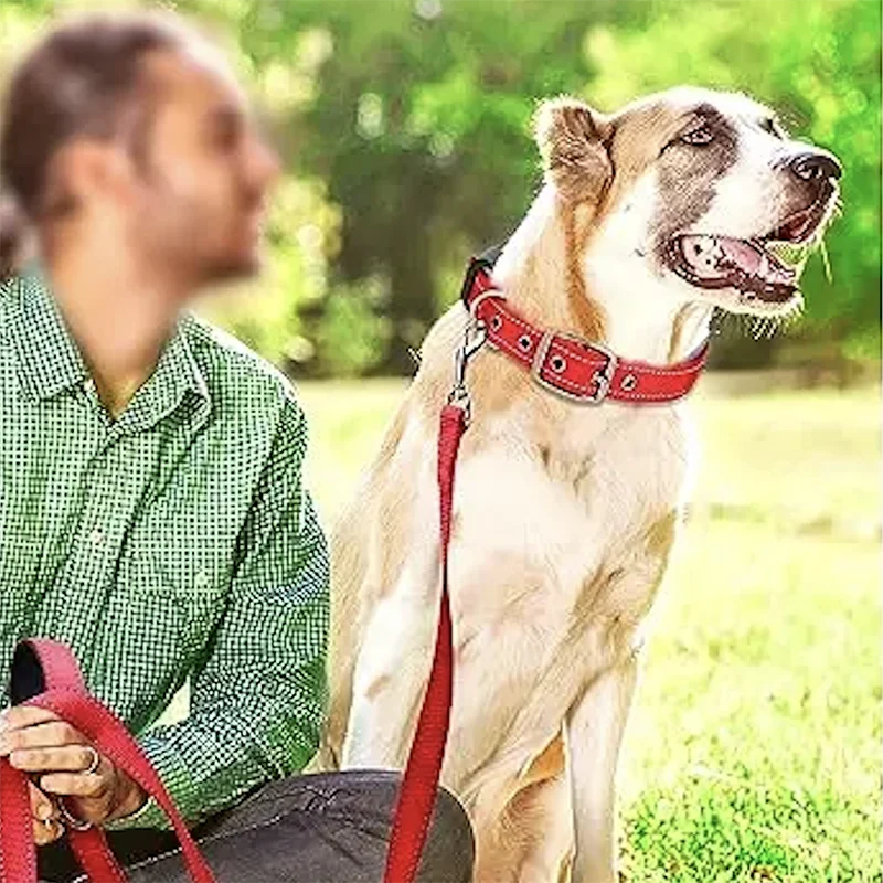 Premium Padded Reflective Dog Collar Adjustable Nylon by PawHaven