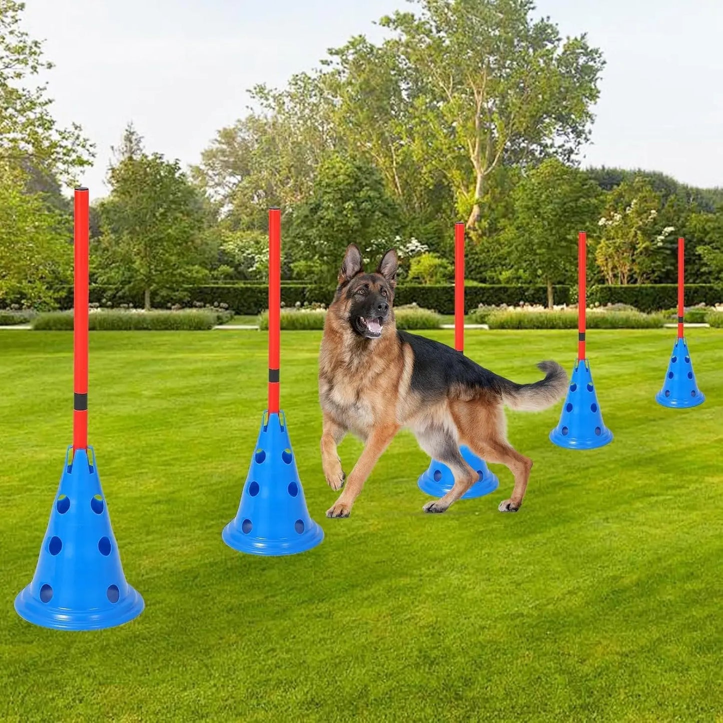 Dog Agility Hurdle Cone Set Dog Agility Course Set with 12 Cones 6 Rods Dog Agile Training Equipment for Outdoor Backyard by PawHaven