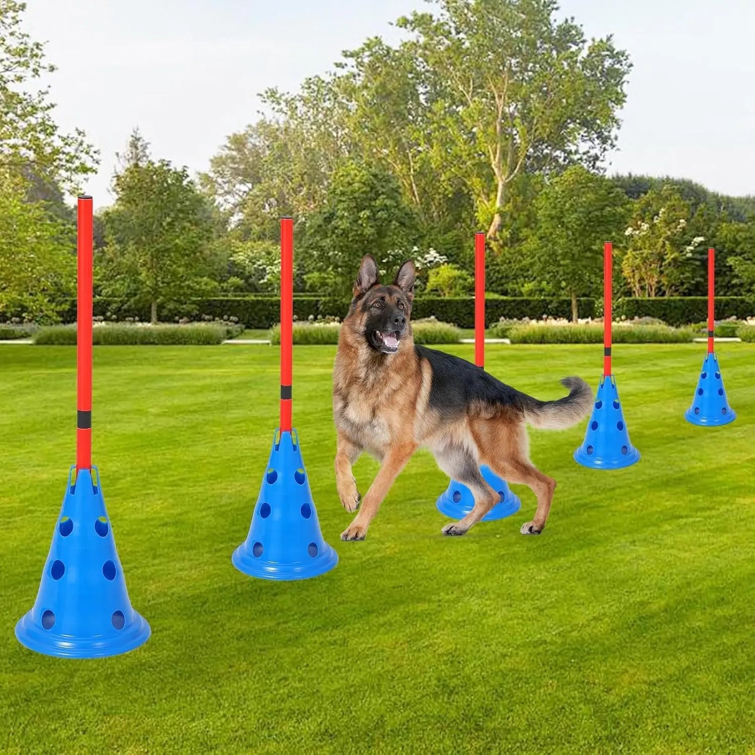 Dog Agility Hurdle Cone Set Dog Agility Course Set with 12 Cones 6 Rods Dog Agile Training Equipment for Outdoor Backyard by PawHaven