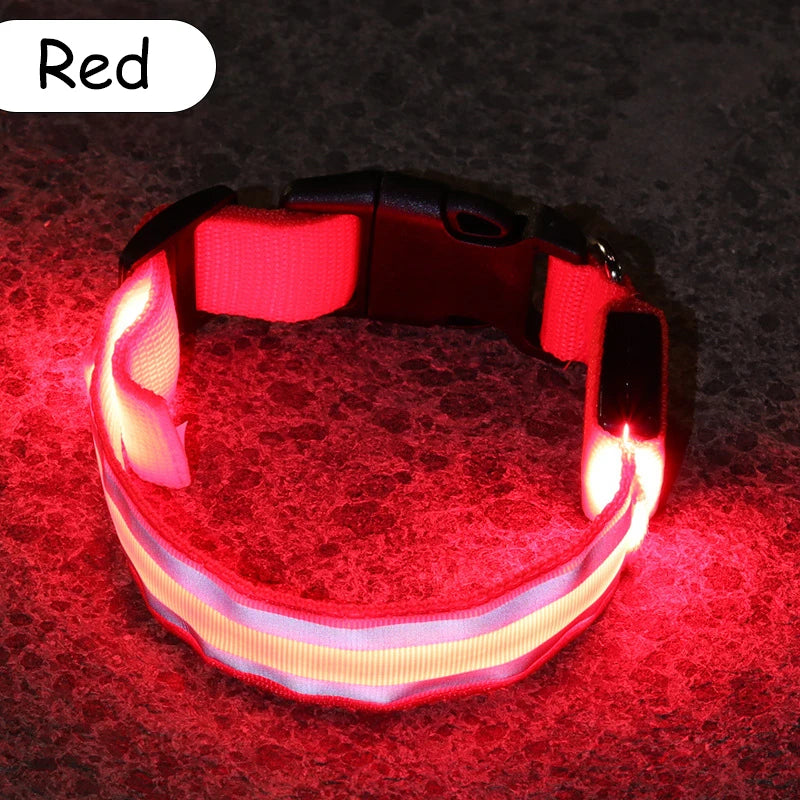 Premium Nylon Night Safety Glow Dog Collar by PawHaven