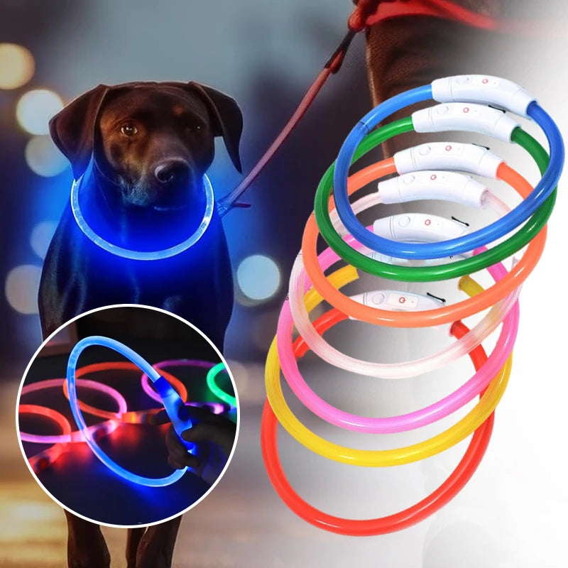 AuroraLux LED Night Collar For Dogs And Cats With 3 Modes by PawHaven