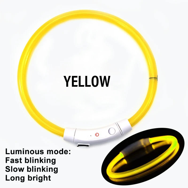 AuroraLux LED Night Collar For Dogs And Cats With 3 Modes by PawHaven