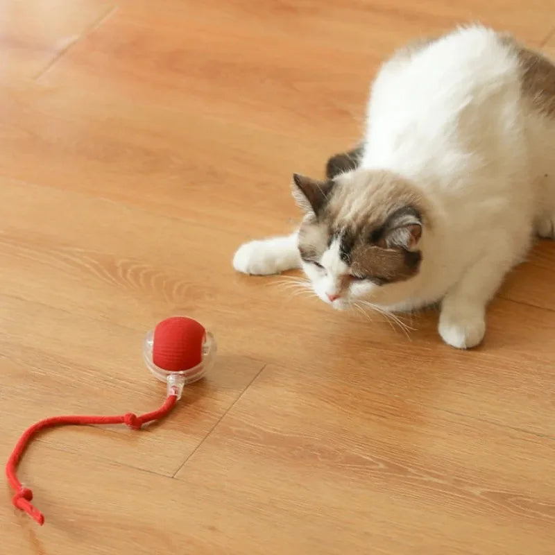 New Cat Interactive Ball Toy,Automatic Rolling Cat Ball Rechargeable,Smart Kitten Interactive Toy,Intelligent Balls Toy for Cat by PawHaven