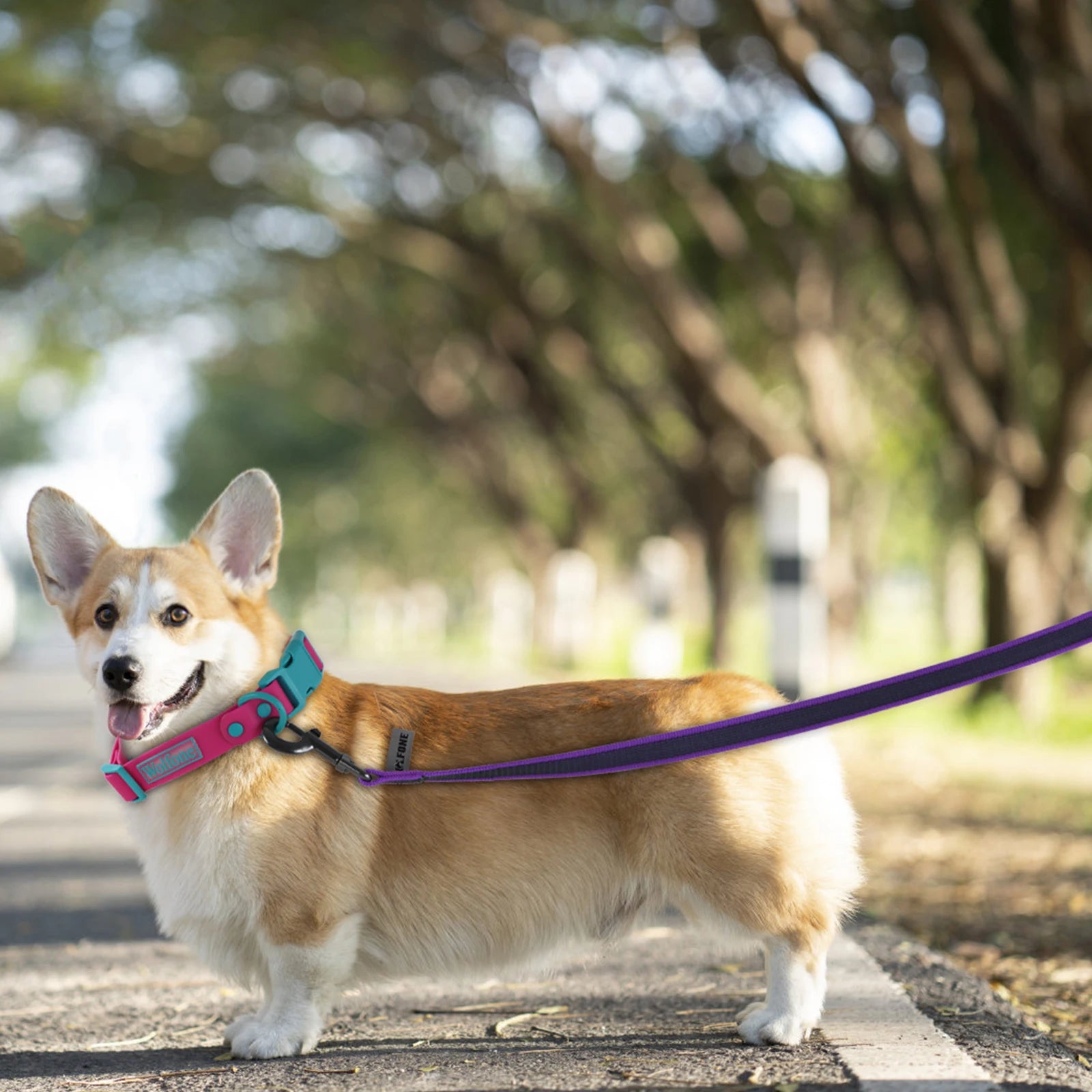 1.5M/2M/5M/3M/15M Medium small Long Dog Leash Latex Silk Easy and Convenient Training Big Dual color dog leash 10 meters by PawHaven