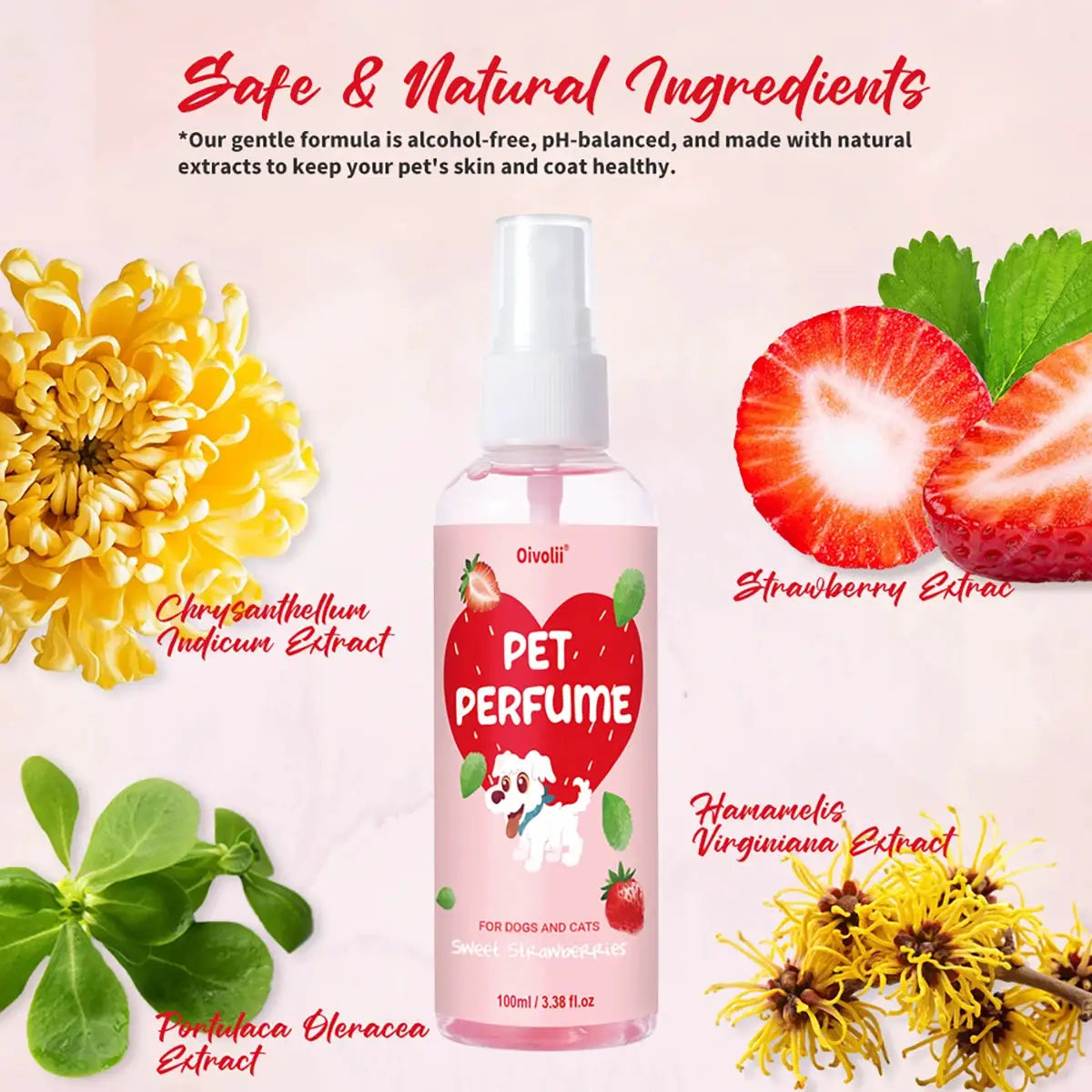 100ml Strawberry Scent Pet Perfume Spray Long-Lasting Deodorant Natural Formula for Dogs Cats All Breeds Air Freshener by PawHaven