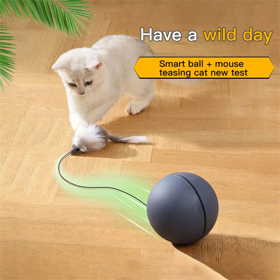 "Battery-Operated" Interactive Cat Toy Ball With Tracking Mouse - Automatic Rolling Teaser For All Breeds, Battery-Powered (Batt by PawHaven