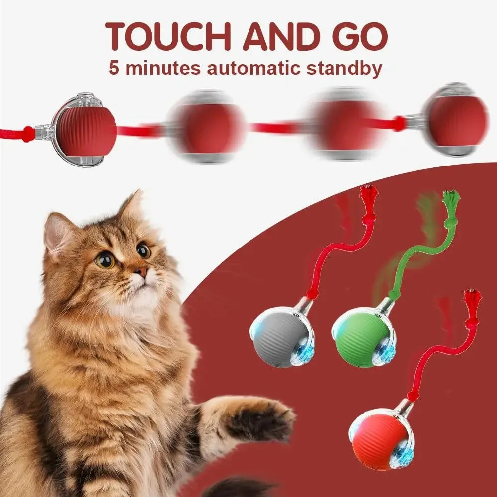 New Cat Interactive Ball Toy,Automatic Rolling Cat Ball Rechargeable,Smart Kitten Interactive Toy,Intelligent Balls Toy for Cat by PawHaven