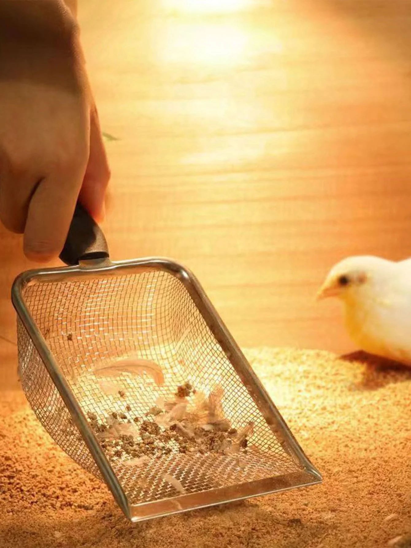 "Durable" Heavy-Duty Stainless Steel Cat Litter Sifter - Easy CleanPerfect For Cats & Birds by PawHaven