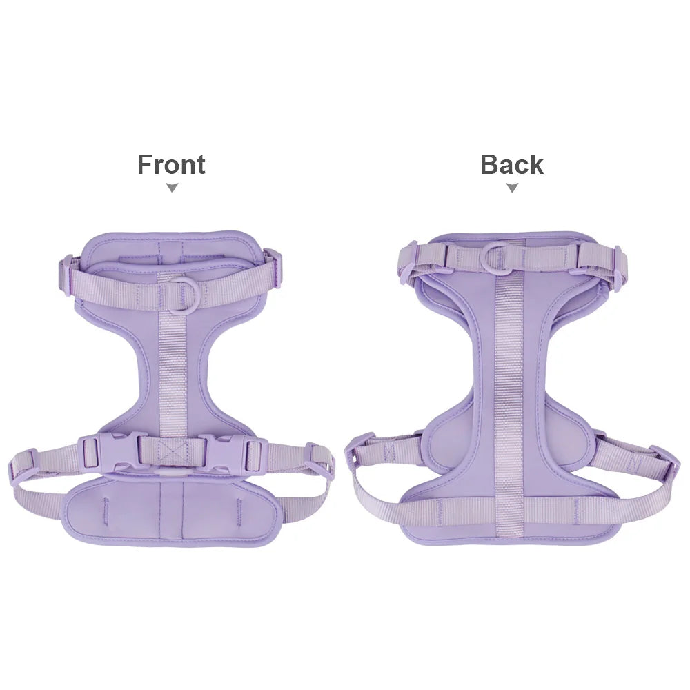 Breathable Lightweight Dog Harness Adjustable Pet Chest Strap Outdoor Walk Training Pet Harenss for Small Medium Dog by PawHaven
