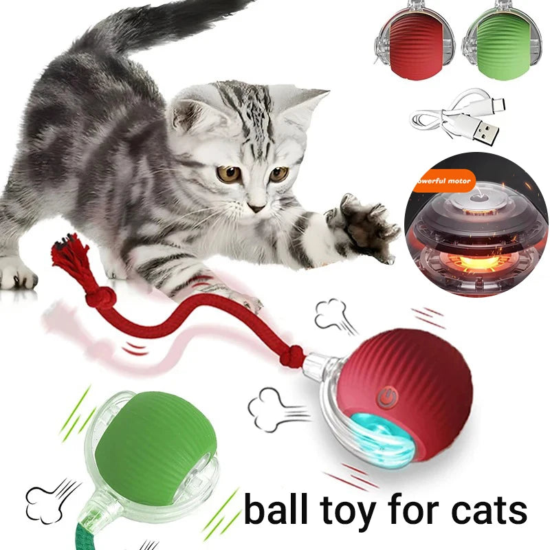 New Cat Interactive Ball Toy,Automatic Rolling Cat Ball Rechargeable,Smart Kitten Interactive Toy,Intelligent Balls Toy for Cat by PawHaven