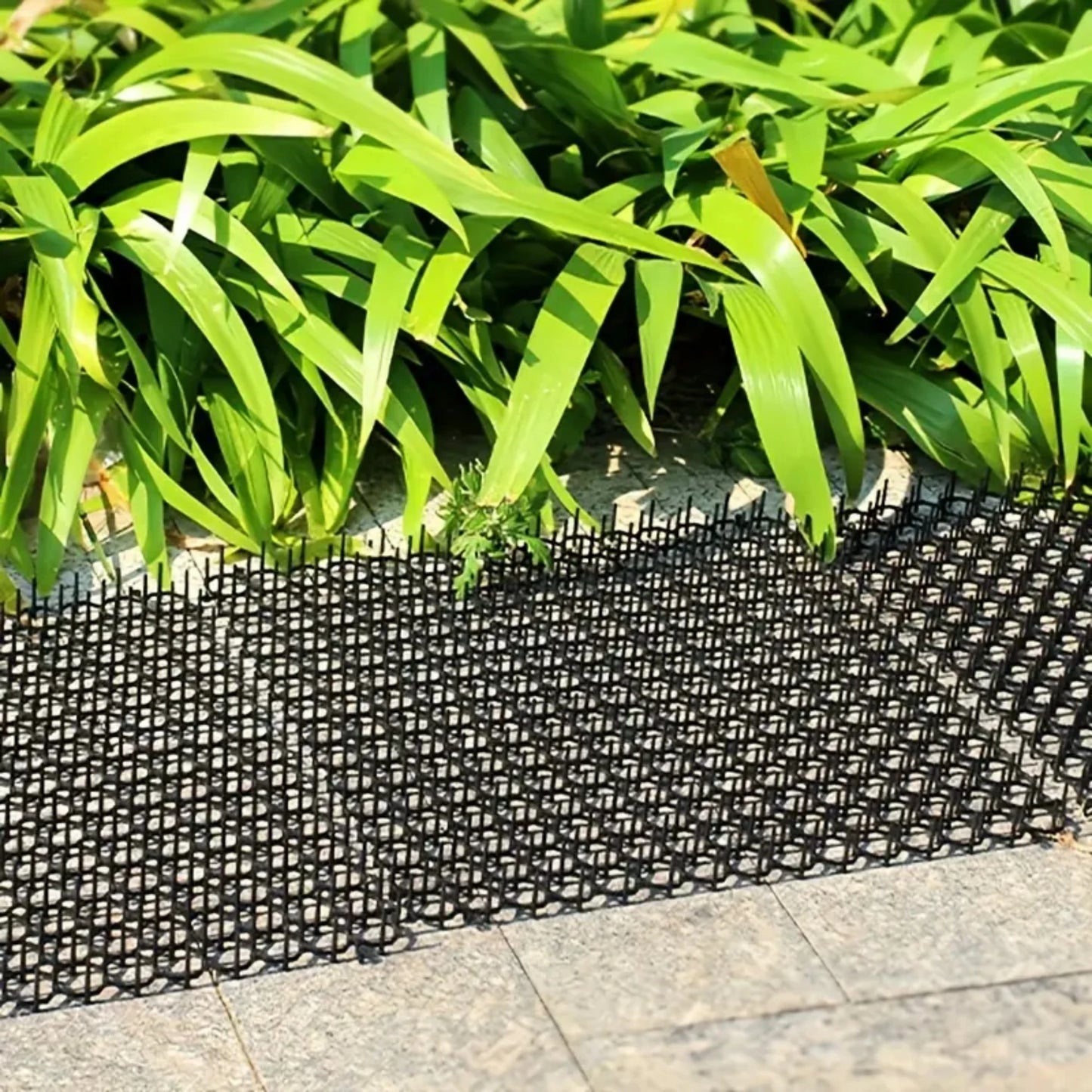 Cat-Proof Mat with Spikes for Vegetable Garden Durable Protection against Cats And Dogs Ideal for Gardening And Plant Care by PawHaven