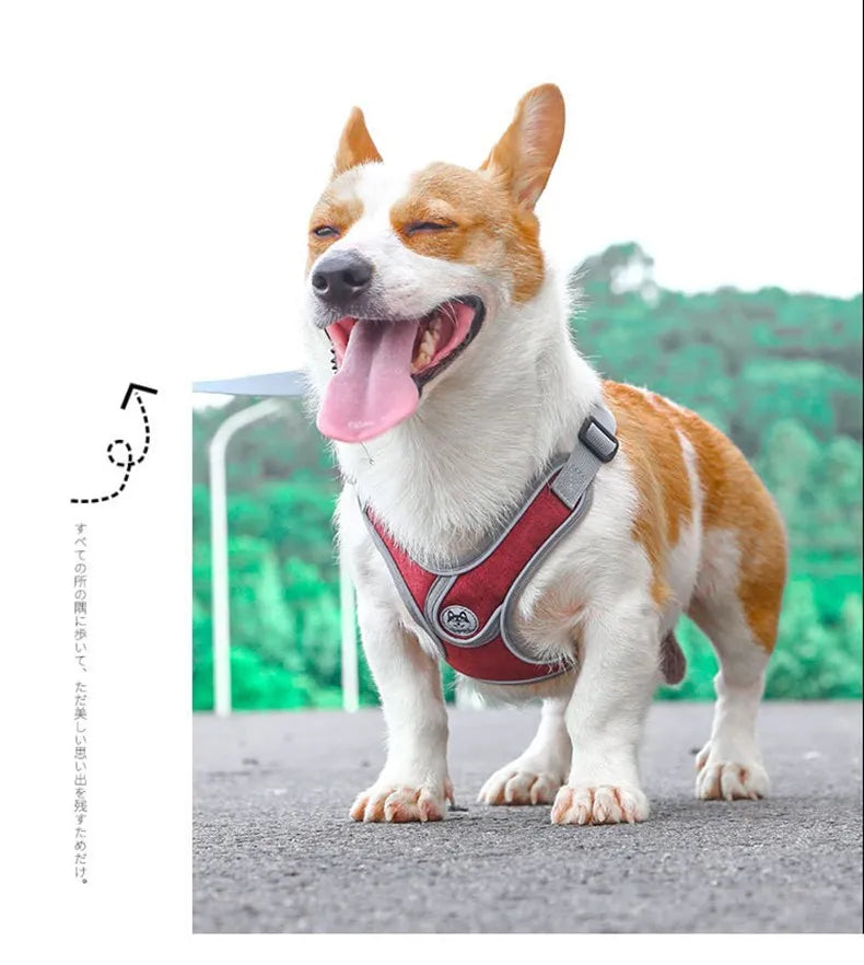 Premium Reflective Harness Vest For Small To Medium Dogs by PawHaven