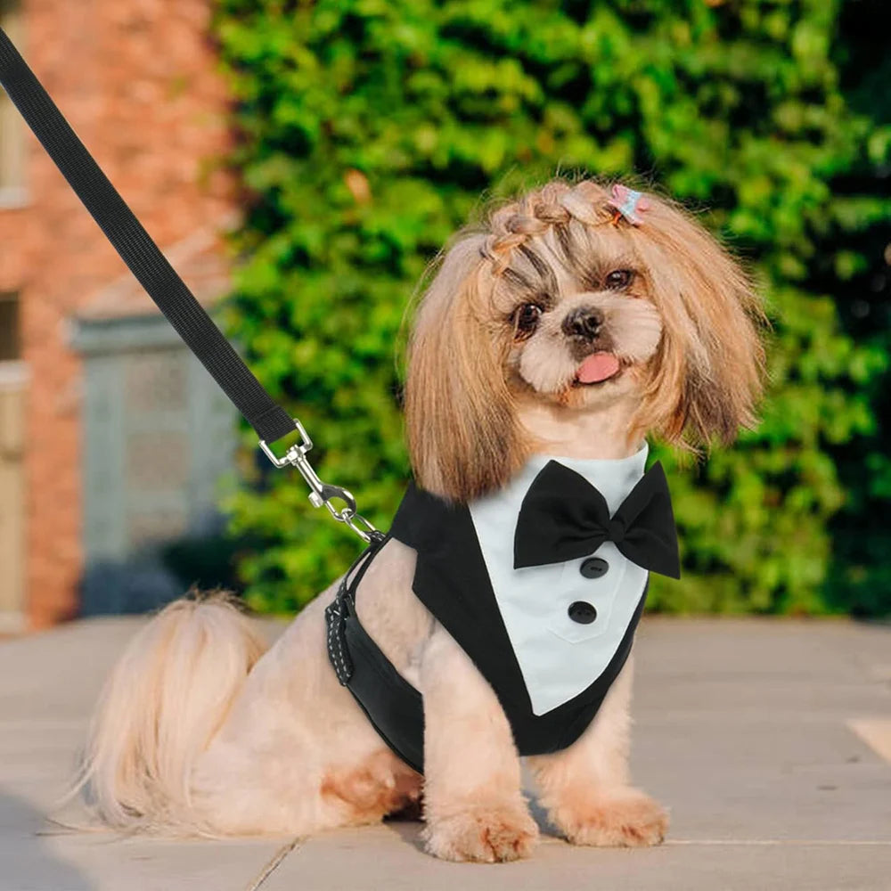 Dog Tuxedo for Wedding Outfit, Dog Suit and Tie Costumes for Birthday, Cosplay, Christmas Party, Pet Formal Wear with Bowtie by PawHaven