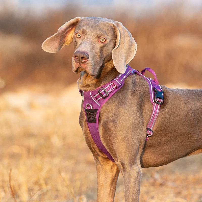 Premium Reflective Dog Vest Harness With Nylon Padding by PawHaven