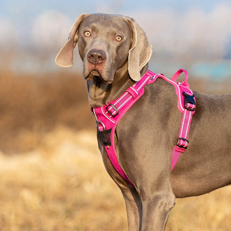 Premium Reflective Dog Vest Harness With Nylon Padding by PawHaven
