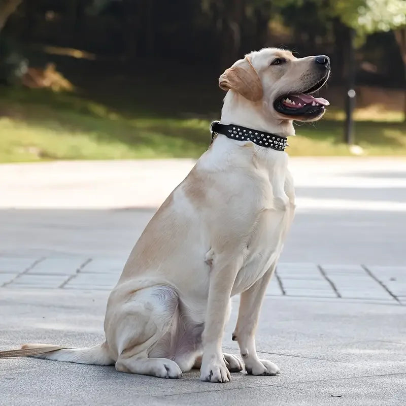 Spiked Dog Collar And Leash Set, Rivet Leather Dog Collar Adjustable Dog Collar For Outdoor Walking by PawHaven