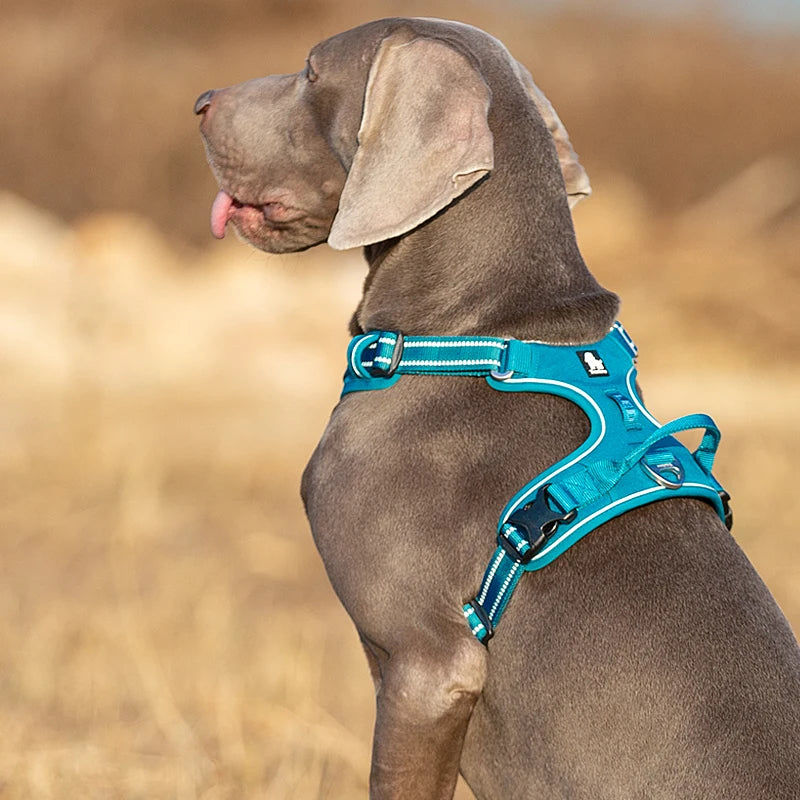 Premium Reflective Dog Vest Harness With Nylon Padding by PawHaven
