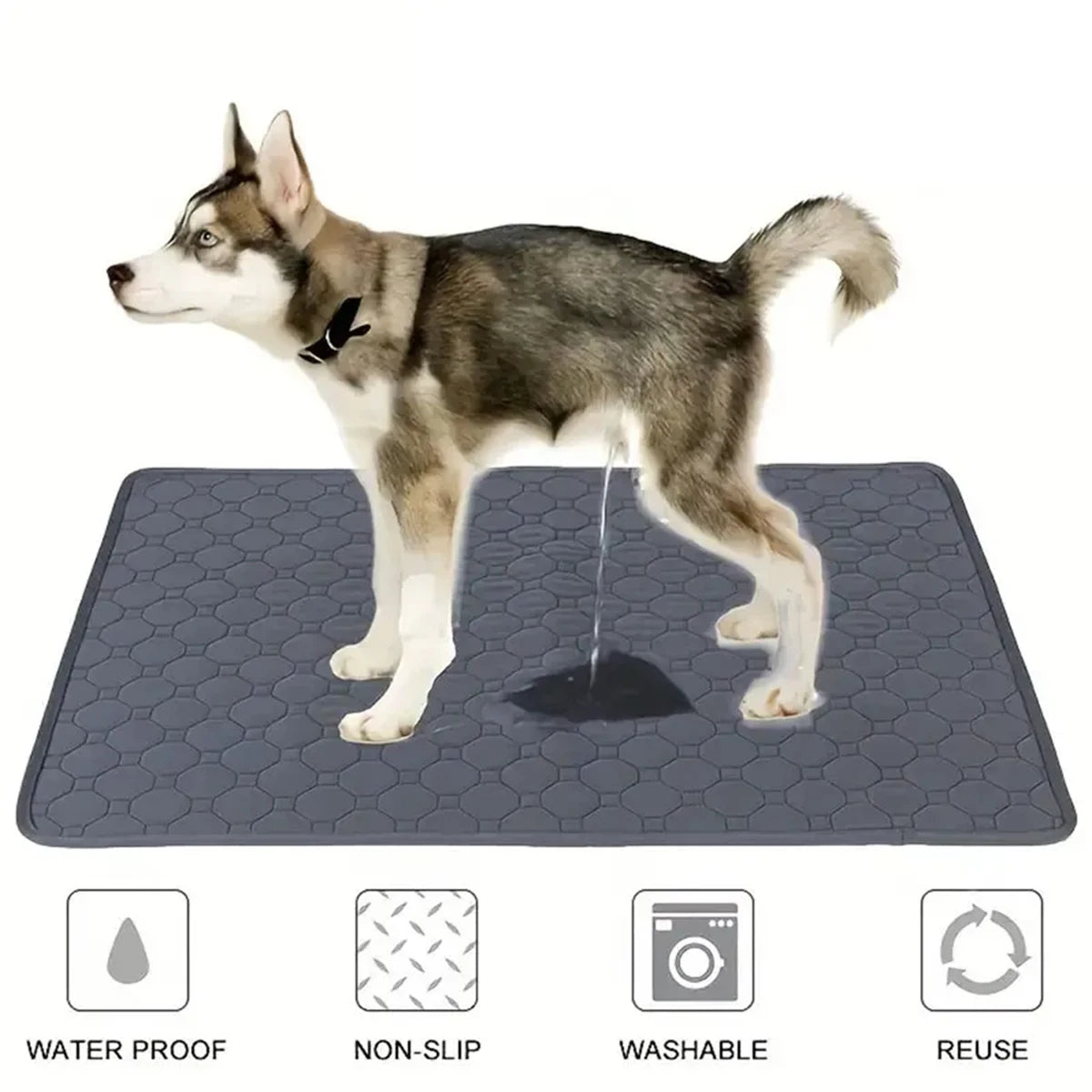 Dog Pee Pad Reusable Washable Dog Urine Mat Car Seat Floor Sofa Waterproof Absorbent Puppy Cat Training Diaper Mat Pet Supplies by PawHaven