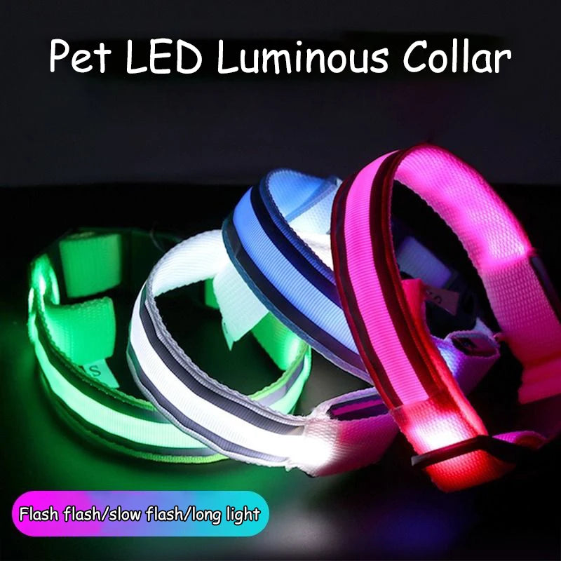 Premium Nylon Night Safety Glow Dog Collar by PawHaven