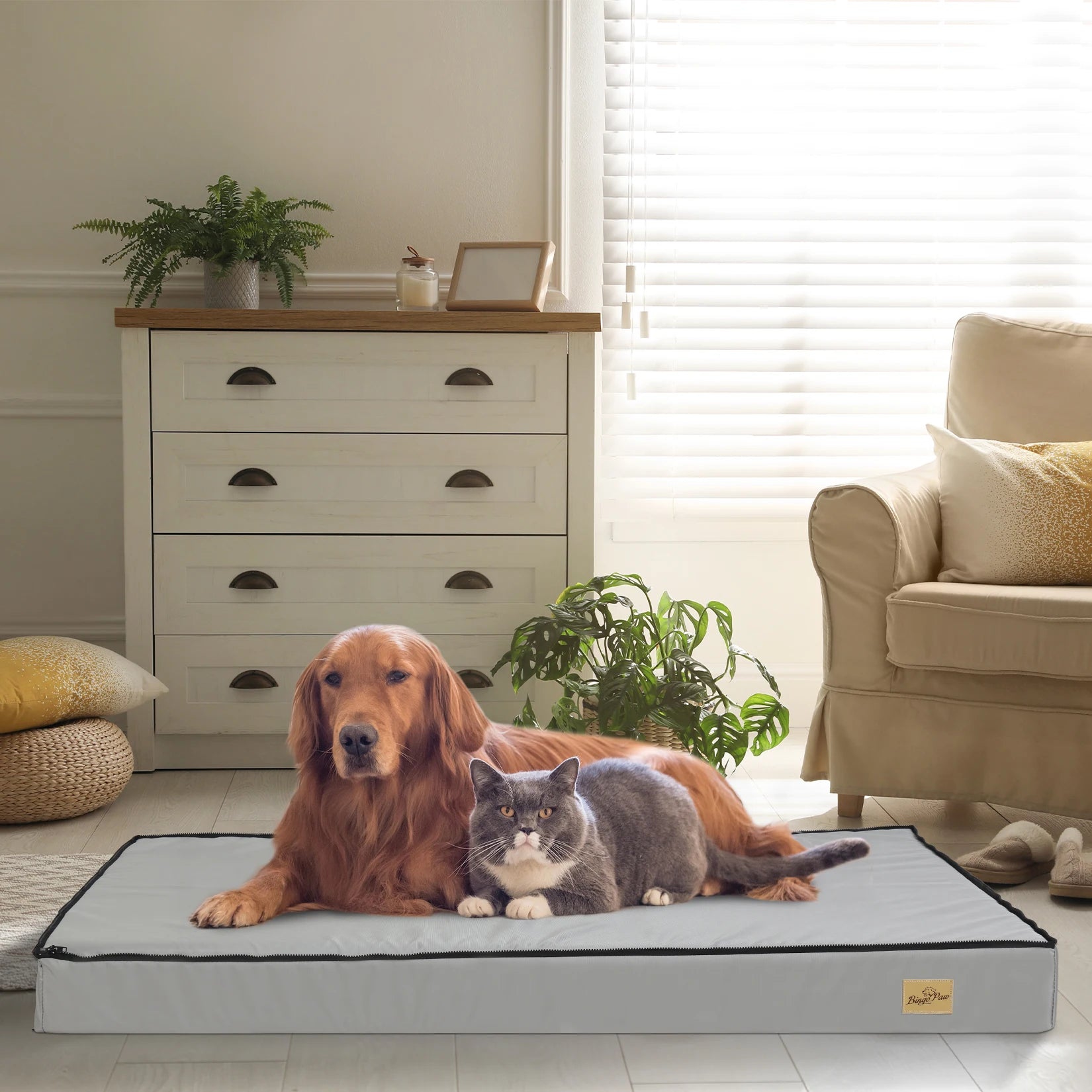 L-3XL Dog Bed Orthopedic Pet Calming Bed Soft Sponge Foam Base Dog Crate Kennels Mat with Removable Cover by PawHaven
