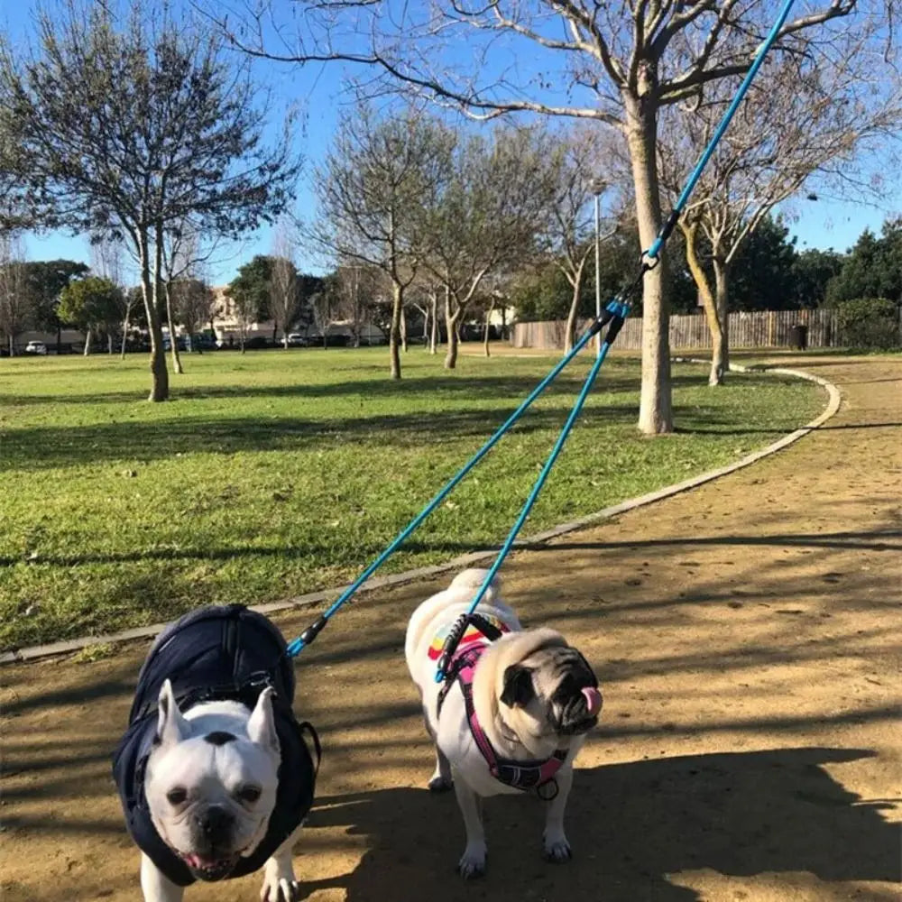 Pet Leash Nylon Double Dual Two Heads Dogs Rope 2 Way Coupler Walk Dogs Collars Harness Leads Dog Leashes by PawHaven