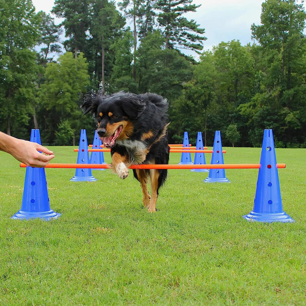 Pet Agility Training Set Jumping Bar Dog Obstacle Training Equipment Hurdle Training Dog Training Device Pet Supplies by PawHaven