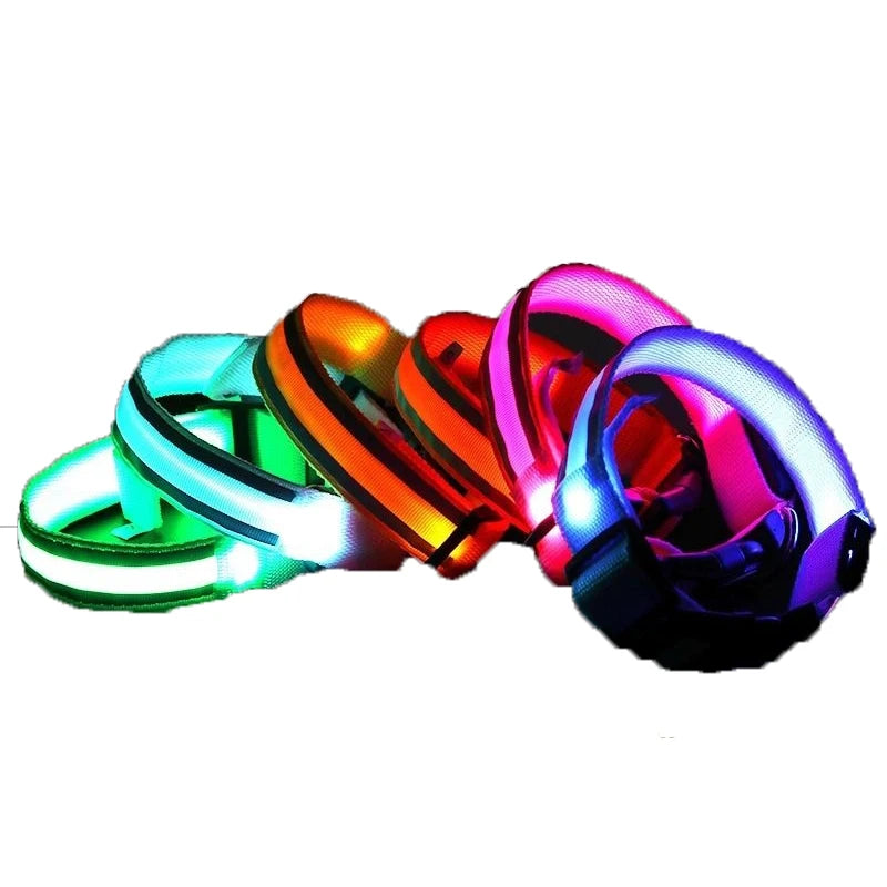 Premium Nylon Night Safety Glow Dog Collar by PawHaven