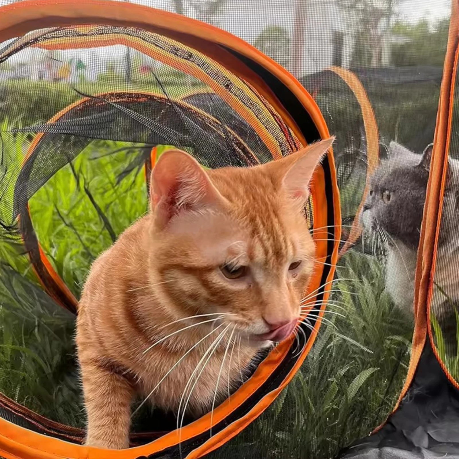 Outdoor Folding Play Tent Tunnel Large Pet Tunnel Cat Enclosures 2-in-1 Big Foldable Pet Playpen for Indoor Cats Puppies Rabbits by PawHaven