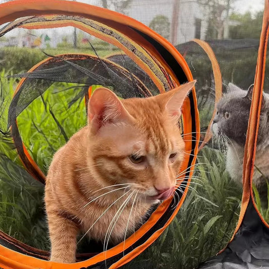 Outdoor Folding Play Tent Tunnel Large Pet Tunnel Cat Enclosures 2-in-1 Big Foldable Pet Playpen for Indoor Cats Puppies Rabbits by PawHaven