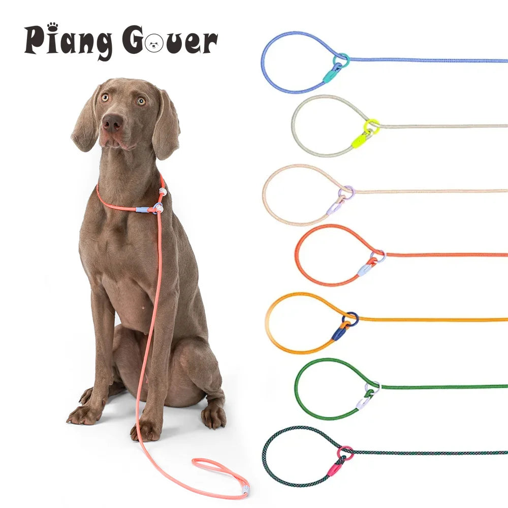 Nylon Colourful Leashes Pet Small Dog Round Rope Lead P Chain Collar Adjustable for Dogs Training Puppy Walking Leash by PawHaven
