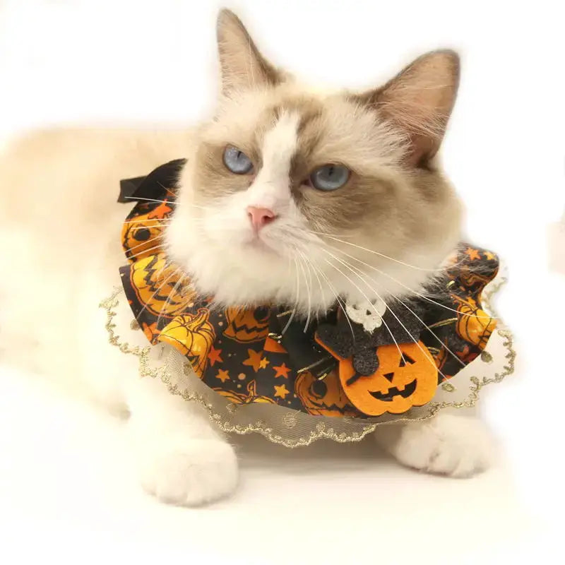 Creative Halloween Lace Cat Collar with Adjustable Bib Scarf for Pet Costume Pumpkin Lace Collar for Cats Halloween Dog Necklace by PawHaven