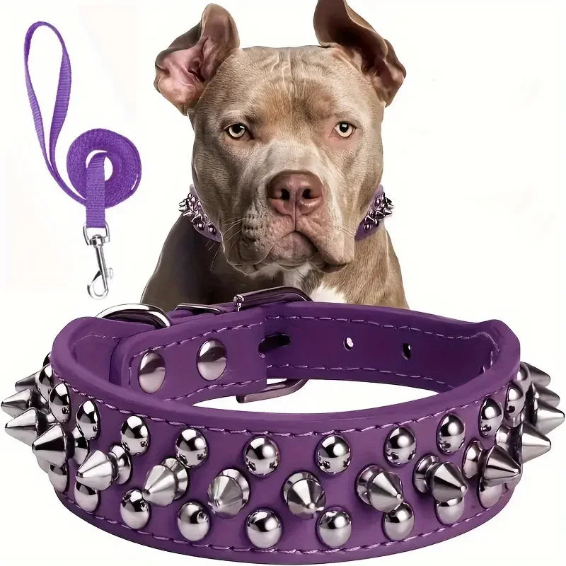 Spiked Dog Collar And Leash Set, Rivet Leather Dog Collar Adjustable Dog Collar For Outdoor Walking by PawHaven