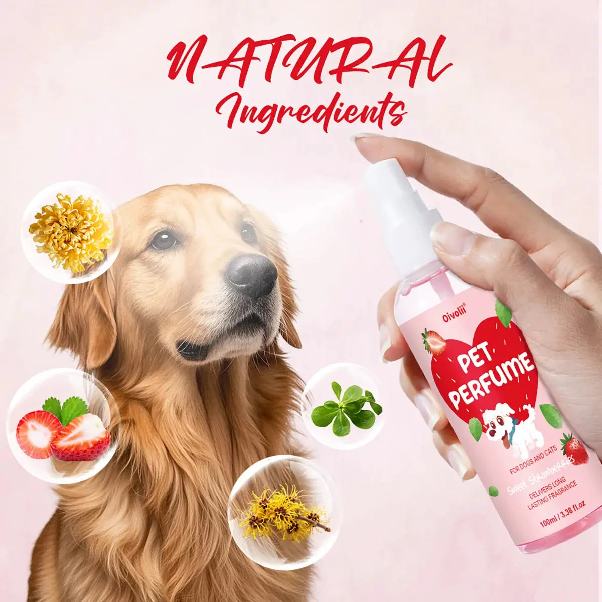 100ml Strawberry Scent Pet Perfume Spray Long-Lasting Deodorant Natural Formula for Dogs Cats All Breeds Air Freshener by PawHaven