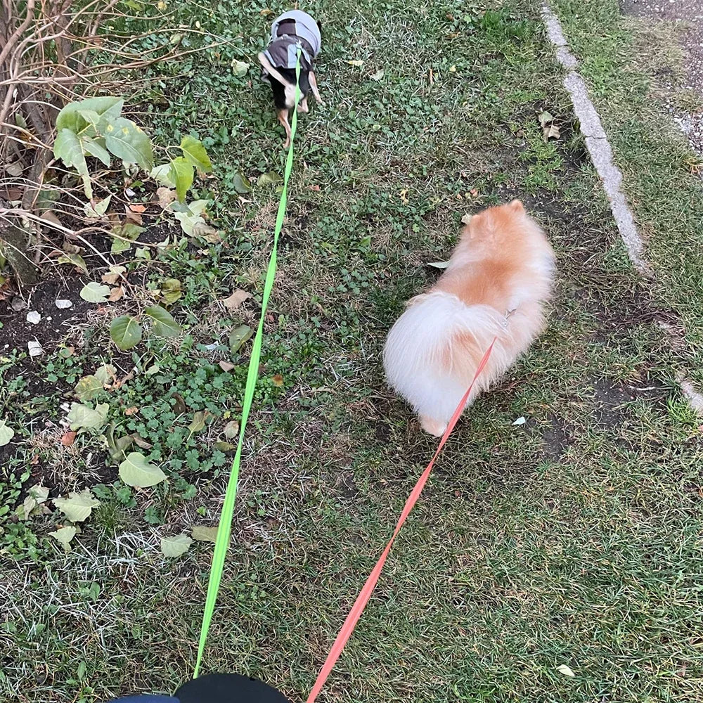 Premium Dual Dog Leash With Built In Light And Waste Bag Box by PawHaven